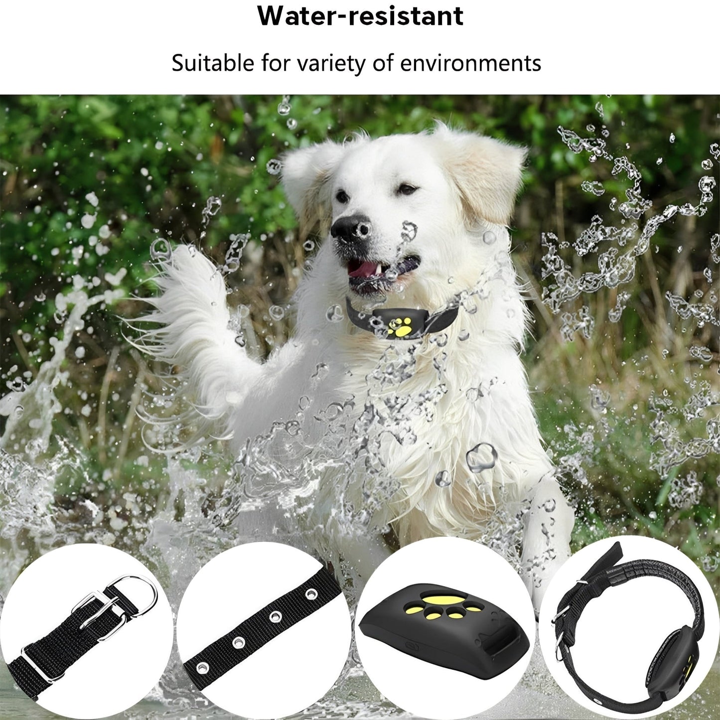 Trackimo GPS pet collar with real-time tracking and geofence alerts for added peace of mind