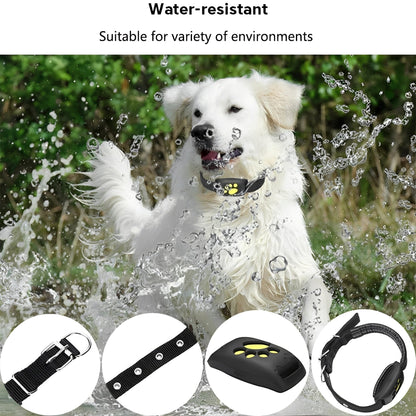 Trackimo GPS pet collar with real-time tracking and geofence alerts for added peace of mind