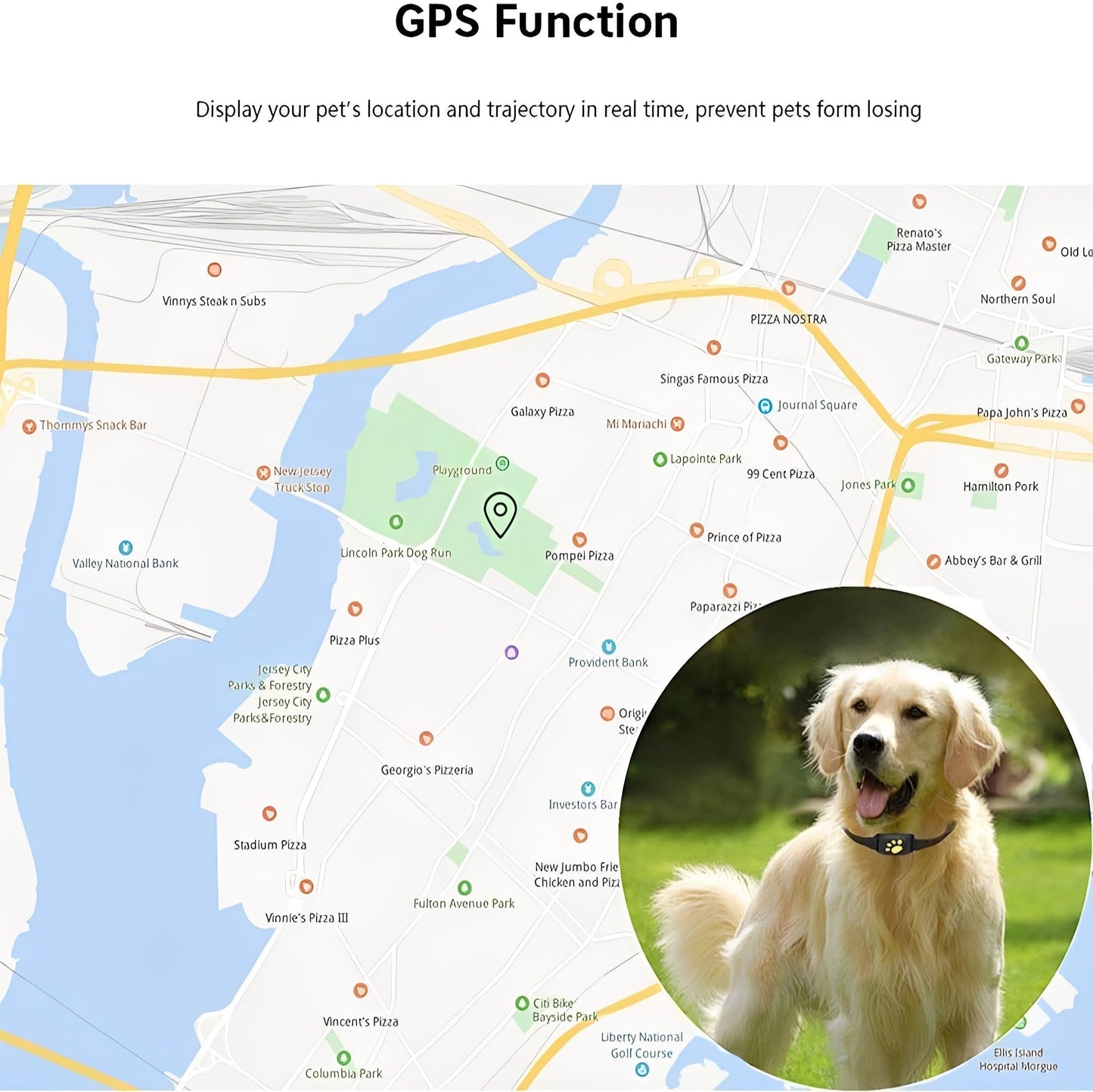 Reliable GPS pet tracking with real-time location updates and alerts for your pet's safety