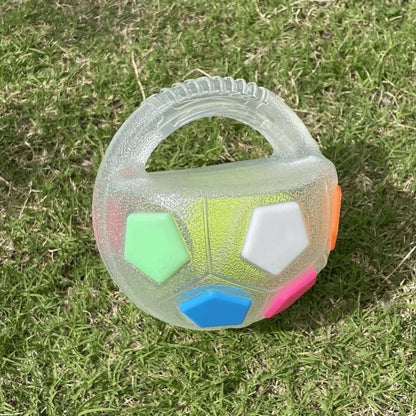 Heavy Duty Rubber Football Chew Toy with Ball in Bottle Design