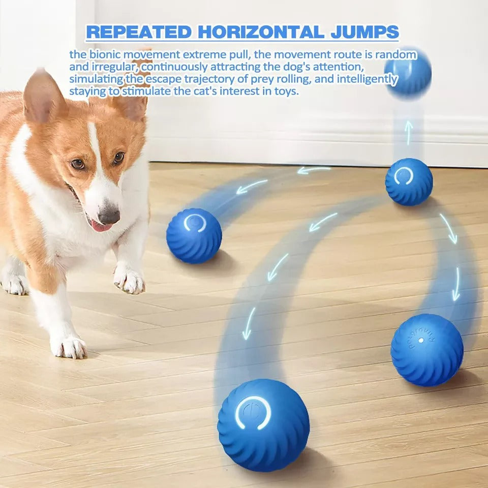 Rechargeable Interactive Ball with Random Rolling Motion