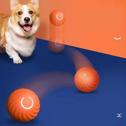 Rechargeable Interactive Rolling Ball with Random Rolling Motion