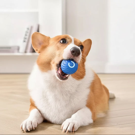 Rechargeable Interactive Rolling Ball with Random Motion
