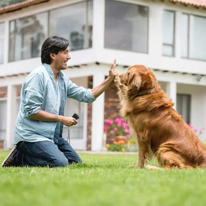 Effective solution for excessive barking, ultrasonic anti-barking training device for dogs