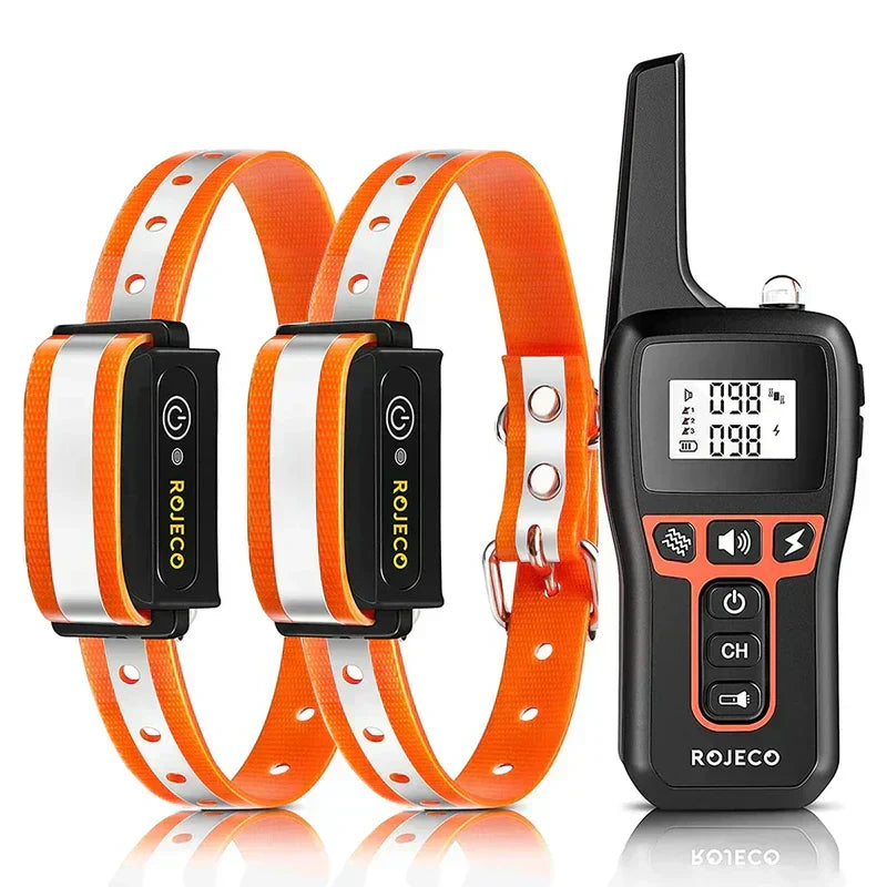 Actieve hond met zwarte en oranje trainingshalsband tijdens buiten training voor betere gehoorzaamheid.