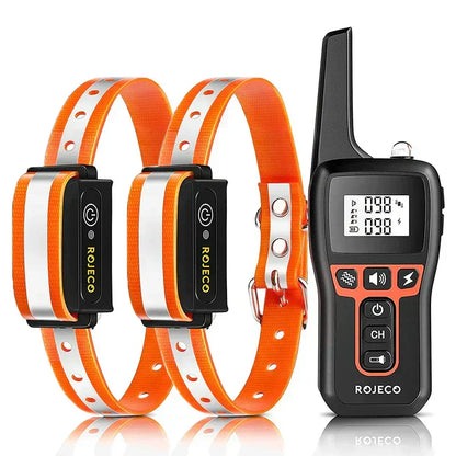 Actieve hond met zwarte en oranje trainingshalsband tijdens buiten training voor betere gehoorzaamheid.
